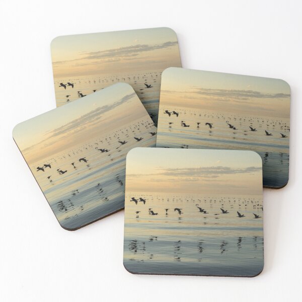 Item preview, Flying Bird Ribbons - Cormorant Flocks and Ripplets designed and sold by Georgia Mizuleva.