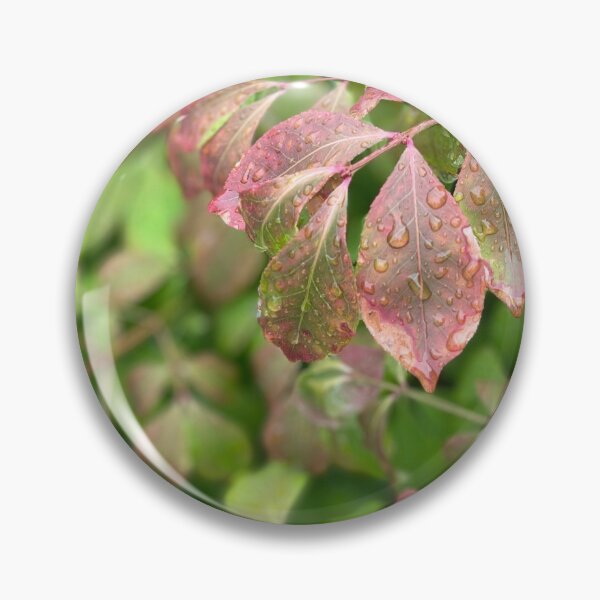 Item preview, Burning Bush in Rain designed and sold by Mumdeedum.