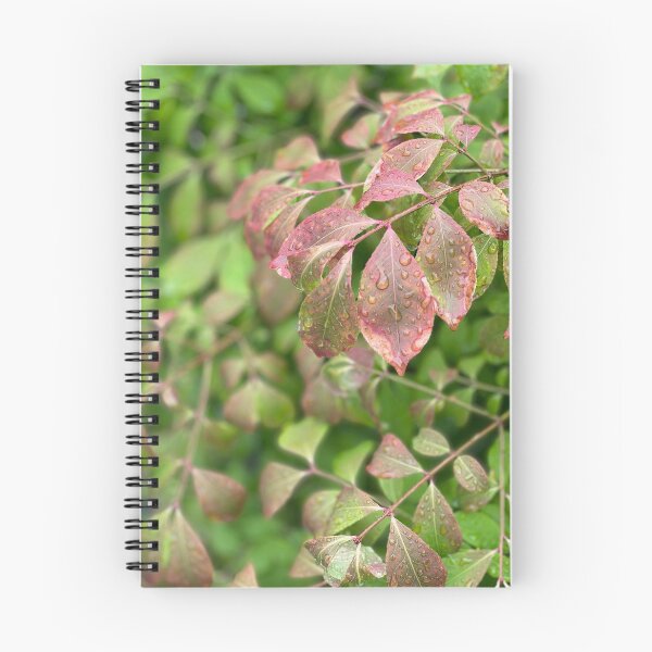 Item preview, Burning Bush in Rain designed and sold by Mumdeedum.