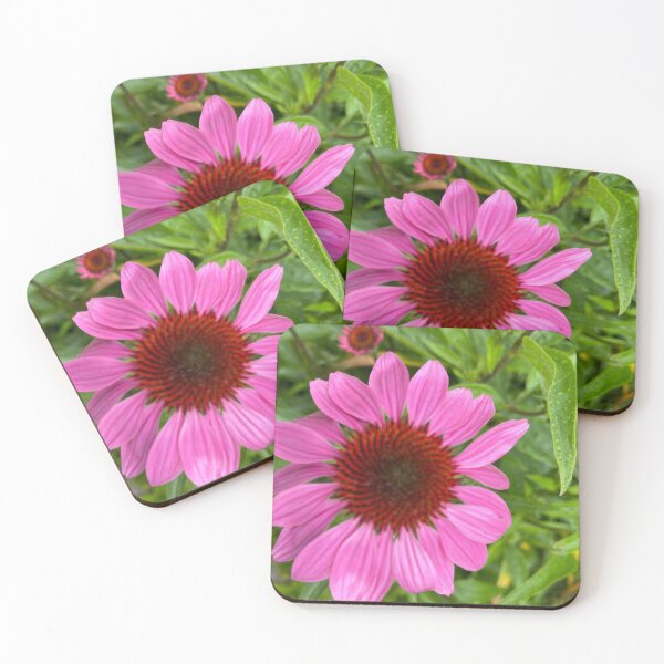 Item preview, Echinacea  designed and sold by Mumdeedum.