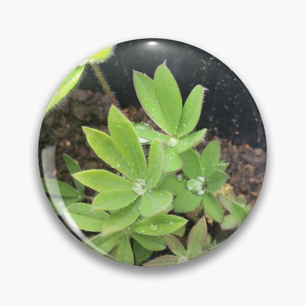 Item preview, The Lupin and the Raindrop designed and sold by Mumdeedum.