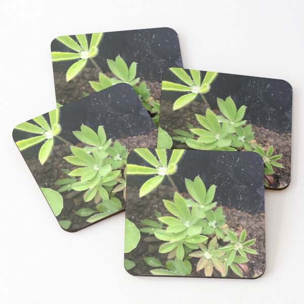 Item preview, The Lupin and the Raindrop designed and sold by Mumdeedum.