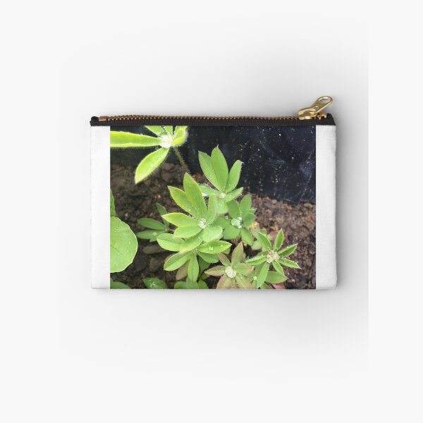 Item preview, The Lupin and the Raindrop designed and sold by Mumdeedum.