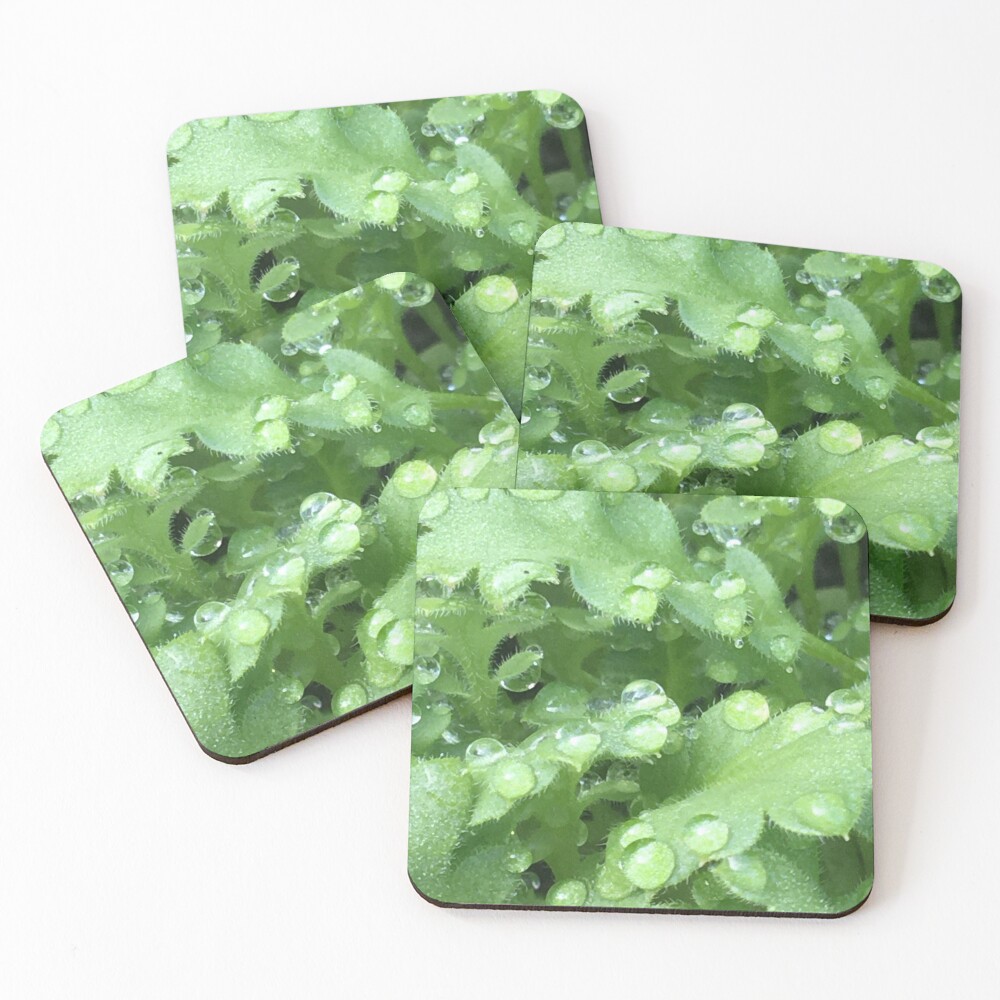 Item preview, Coasters (Set of 4) designed and sold by Mumdeedum.