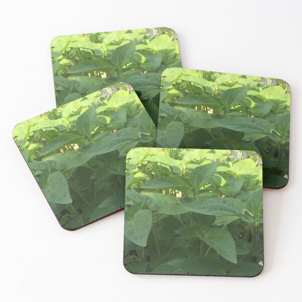 Item preview, Leaves in My Garden designed and sold by Mumdeedum.