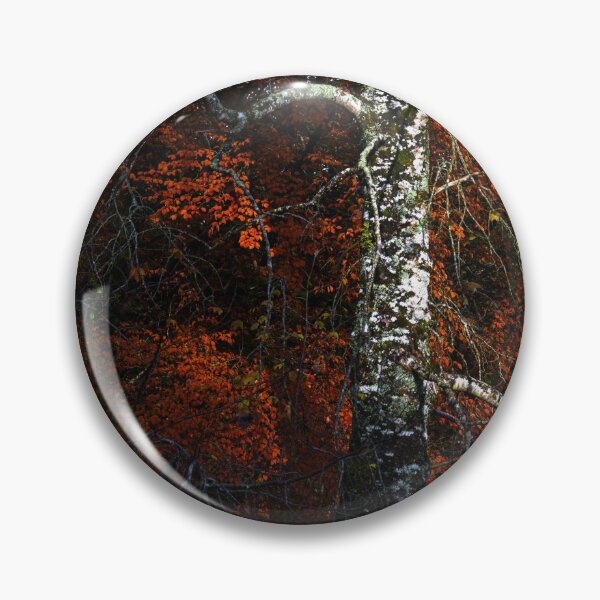Item preview, Birch tree in autumn forest of Ireland designed and sold by AlbertMi.