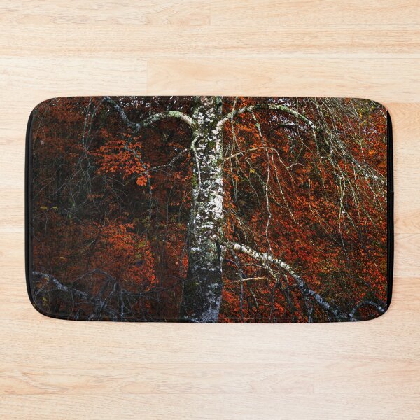 Item preview, Birch tree in autumn forest of Ireland designed and sold by AlbertMi.