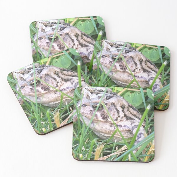 Item preview, Mr. Toad designed and sold by Mumdeedum.
