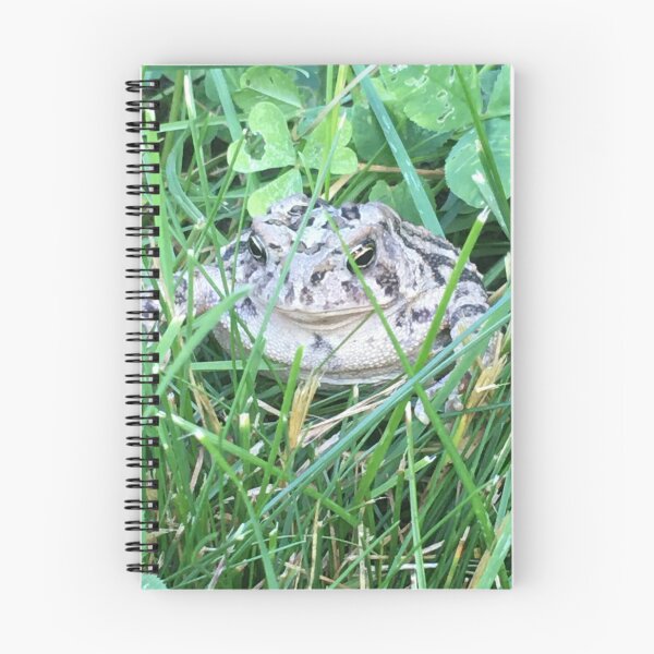 Item preview, Mr. Toad 2 designed and sold by Mumdeedum.