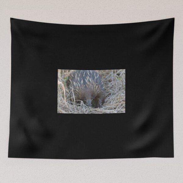 Item preview, Sunset Anteater  designed and sold by byronbackyard.