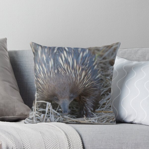 Item preview, Sunset Anteater  designed and sold by byronbackyard.
