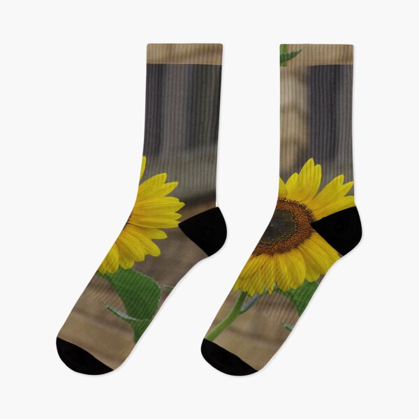 Item preview, Sunflower days of summer  designed and sold by SRosuphotos.