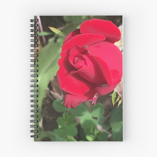 Item preview, Red Rose designed and sold by Mumdeedum.