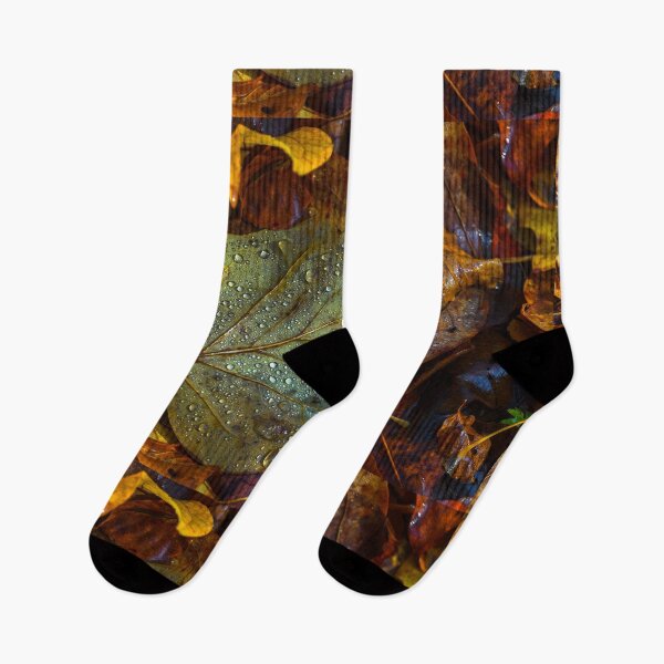 Item preview, Autumn leaves in Irish forest designed and sold by AlbertMi.
