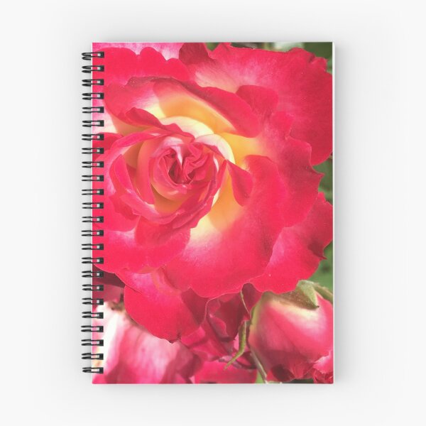 Item preview, Red and Yellow Rose designed and sold by Mumdeedum.