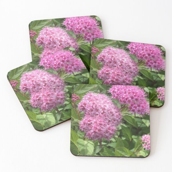 Item preview, Pink! designed and sold by Mumdeedum.