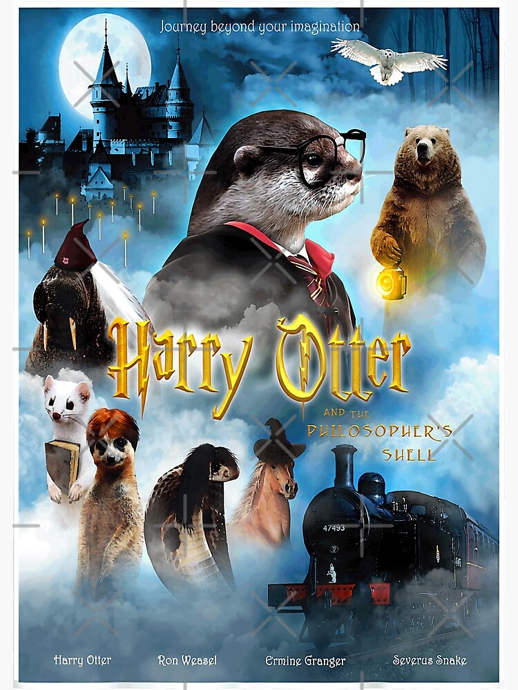 Discover harry otter movie poster Premium Matte Vertical Poster