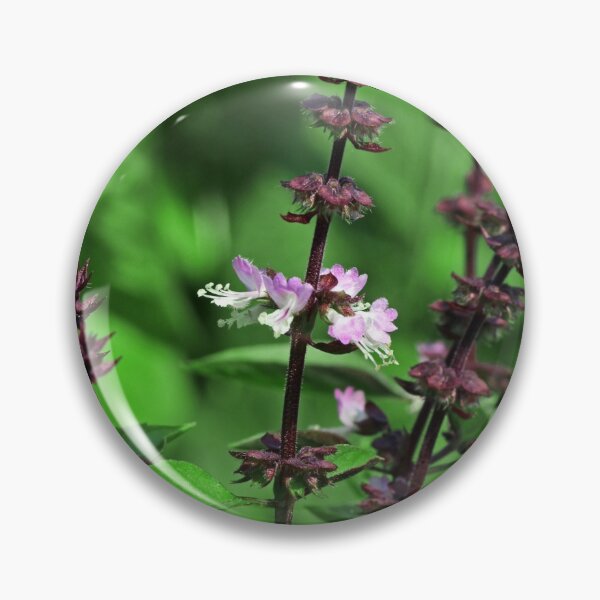 Item preview, Thai Basil designed and sold by emilypatersonn.