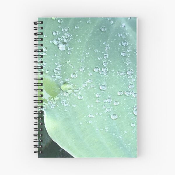 Item preview, The Hosta and the Rain designed and sold by Mumdeedum.