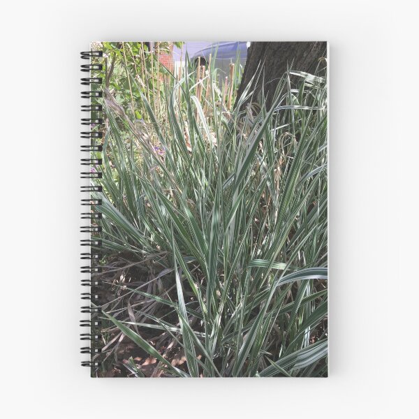 Item preview, In the Grass designed and sold by Mumdeedum.