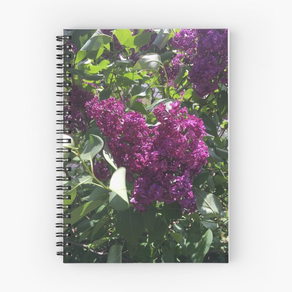 Item preview, Very Purple Lilac designed and sold by Mumdeedum.