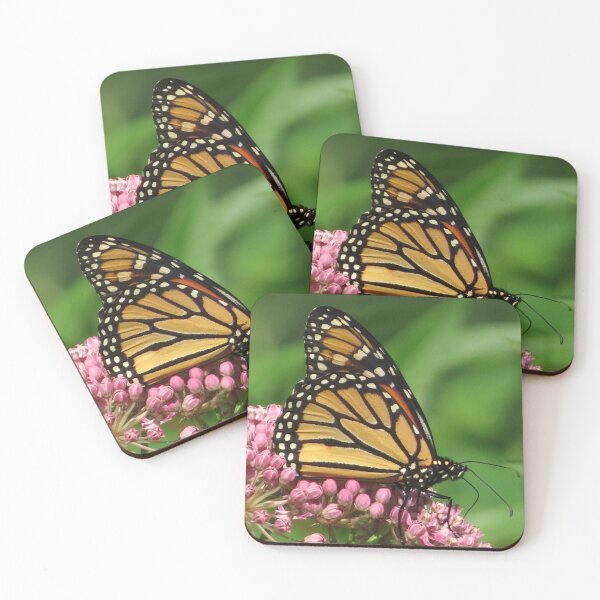 Item preview, Monarch Butterfly Feeding on Milkweed designed and sold by Sam Morrison.