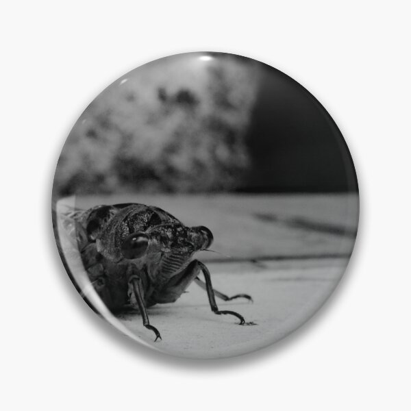 Item preview, Newly emerged cicada  designed and sold by R-York.