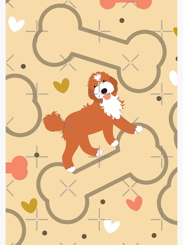 "Cute Ruby Red and White Cockapoo Cavapoo Cavoodle" Poster for Sale by ...