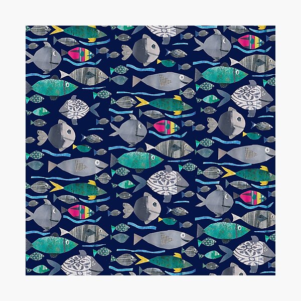 Fishies Photographic Print