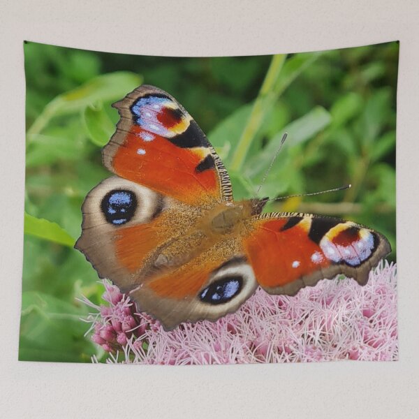 Item preview, Peacock butterfly uk designed and sold by rich-jam.