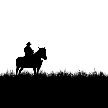 Artwork thumbnail, Cowboy design by Inconsistento