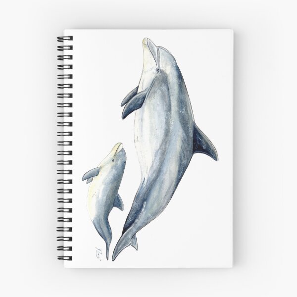 Item preview, Bottlenose dolphin (Tursiops truncatus) designed and sold by chloeyzoard.