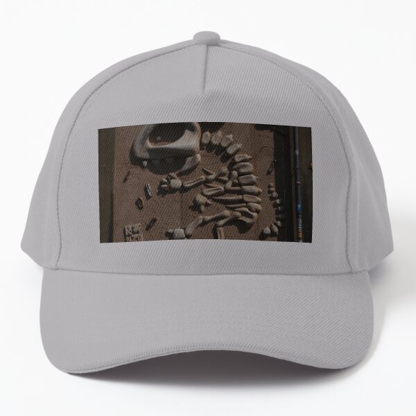 Them bones them dry bones Baseball Cap