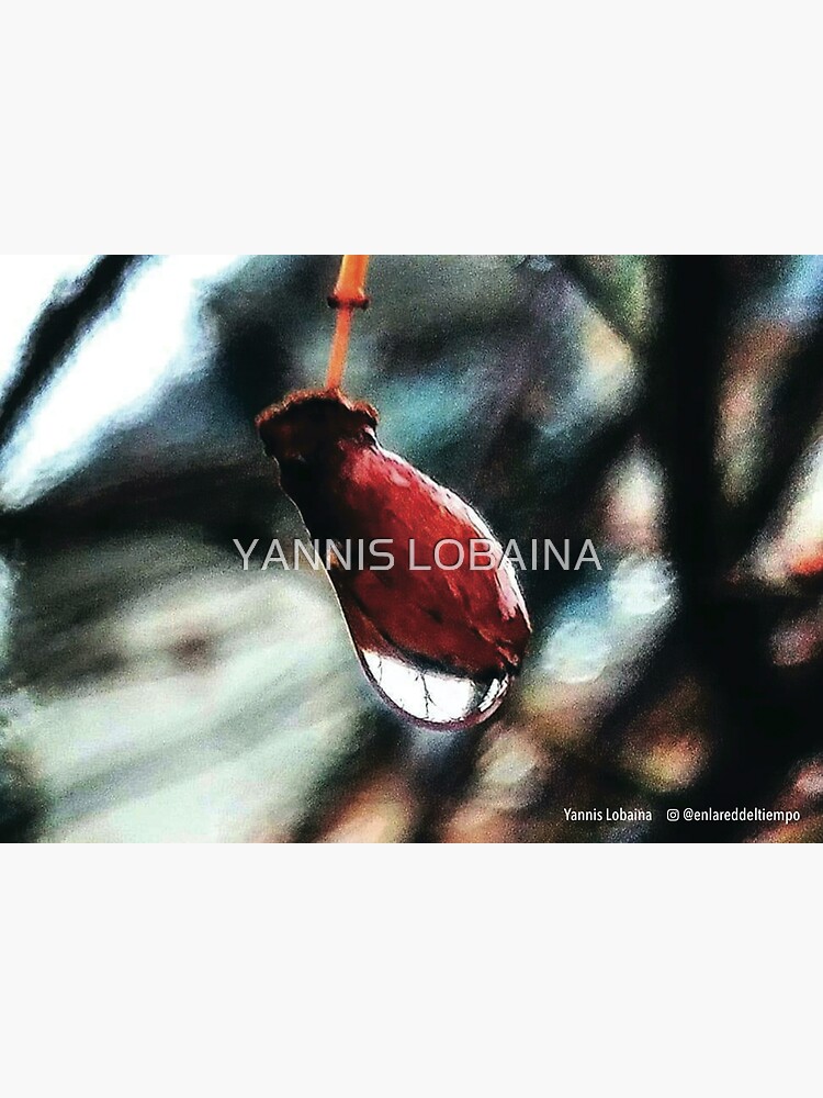 Red Dawn By Yannis Lobaina by lobaina1979