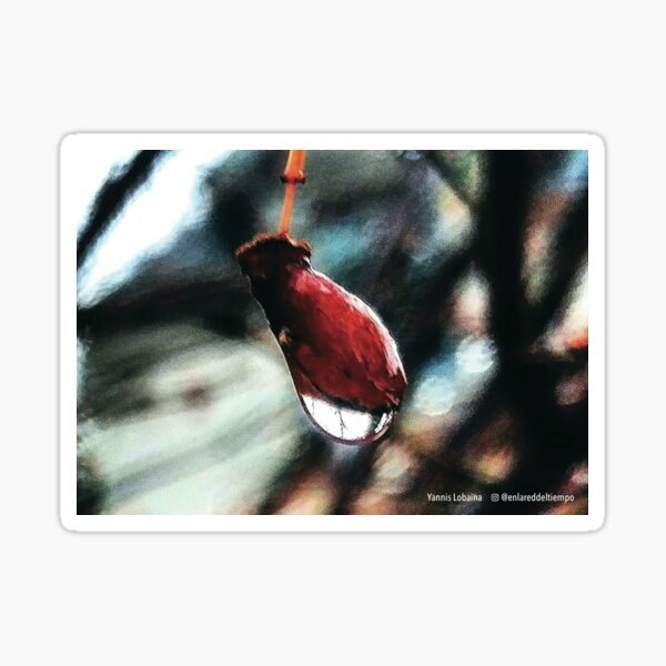 Red Dawn By Yannis Lobaina Sticker