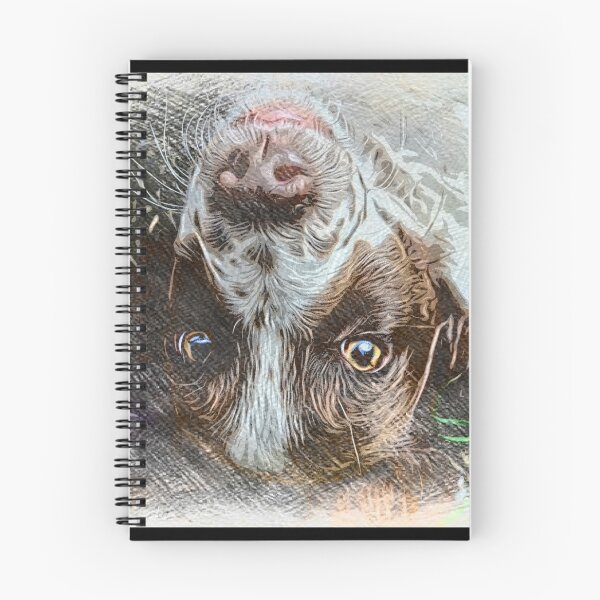 Artikelvorschau, Springer Spaniel entworfen und verkauft von pnkpopcorn.