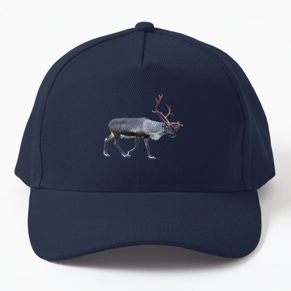 reindeer baseball hat