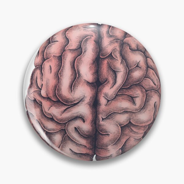Item preview, artistic drawn brain sticker designed and sold by imsocoolanh.
