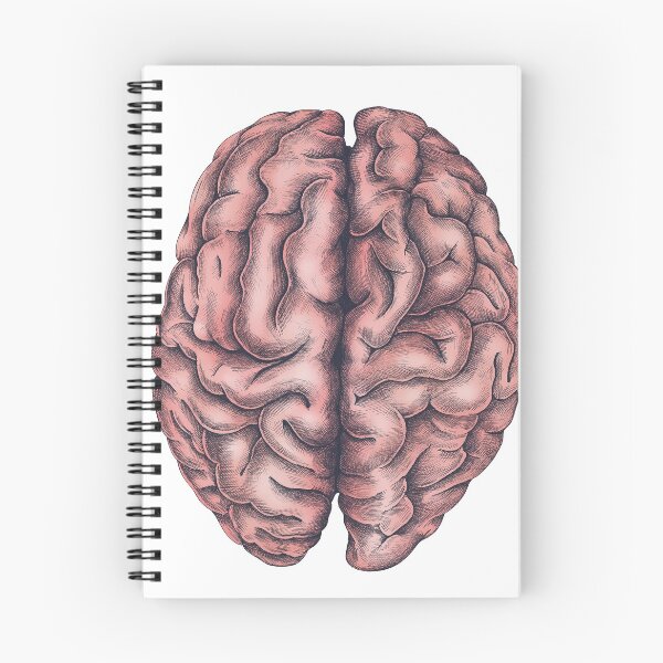 Item preview, artistic drawn brain sticker designed and sold by imsocoolanh.