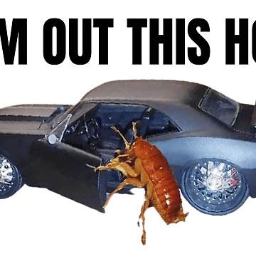 Artwork thumbnail, Cockroach Getting In Car by DAFIN