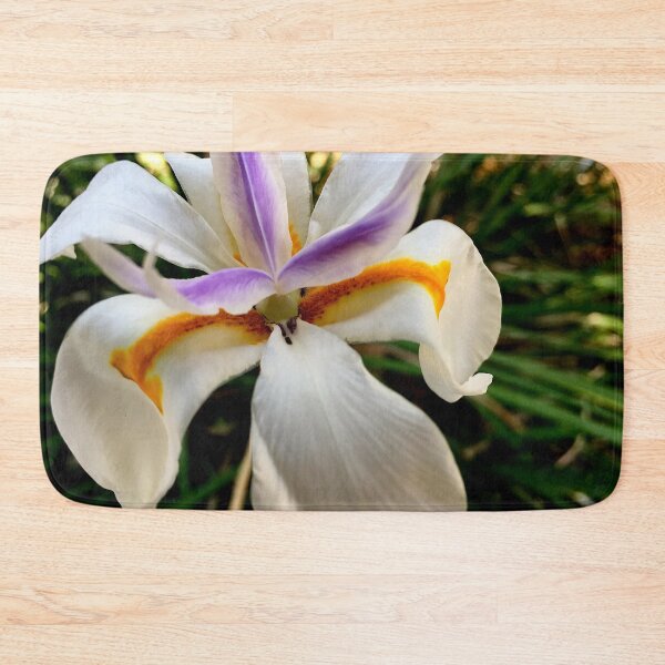 Item preview, Fortnight Lily (Dietes) from A Gardener's Notebook designed and sold by Douglas E. Welch Design and Photography.