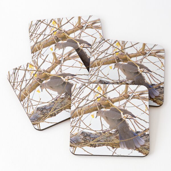 Item preview, Mourning Dove Stretching Wings designed and sold by CarolM.