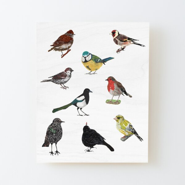 European garden birds  Wood Mounted Print