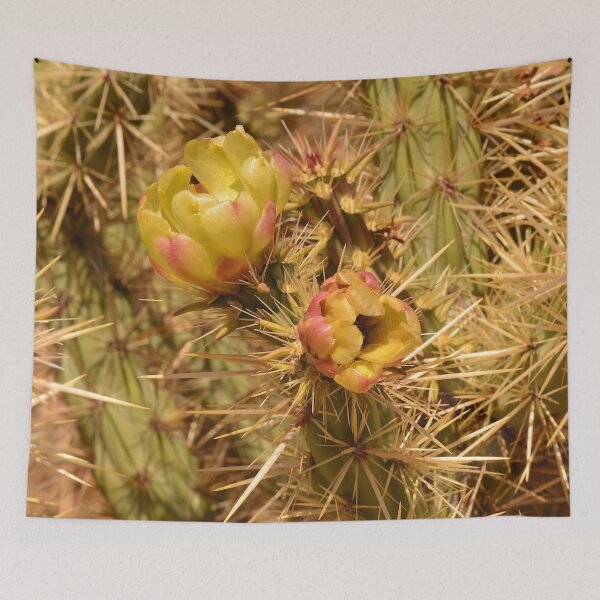 Item preview, Cacti in Bloom designed and sold by AlsknMommaBear2.