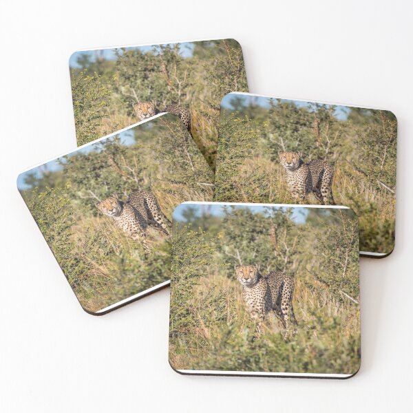 Item preview, Cheetah standing on grass field designed and sold by abdenirio.