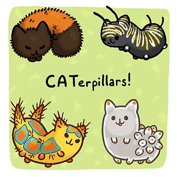 Artwork thumbnail, CAT-erpillars by RaspberryMoon