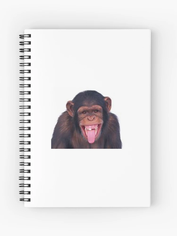 Funny Monkey Meme Cool: Notebook Planner