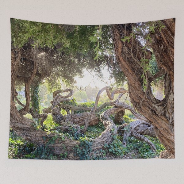 Item preview, Enchanted Trees: Fantasy Fairy Garden designed and sold by Outside365.