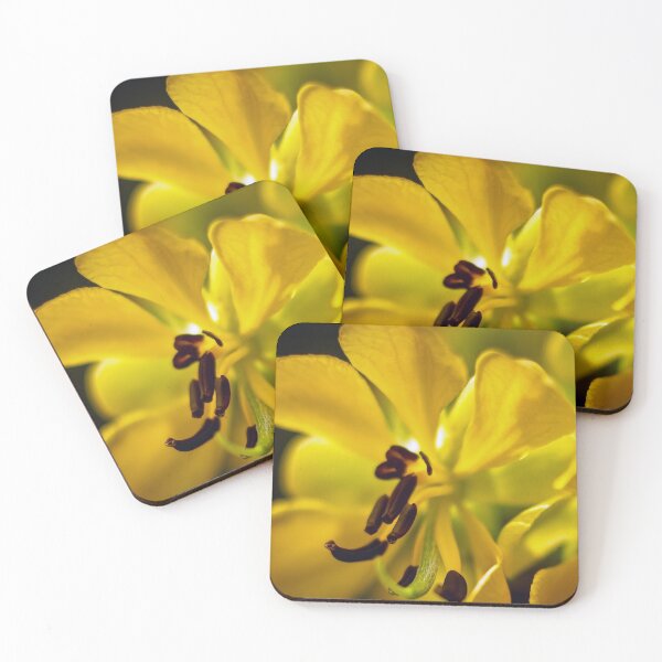 Item preview, Senna Wildflower Macro designed and sold by Thymely.