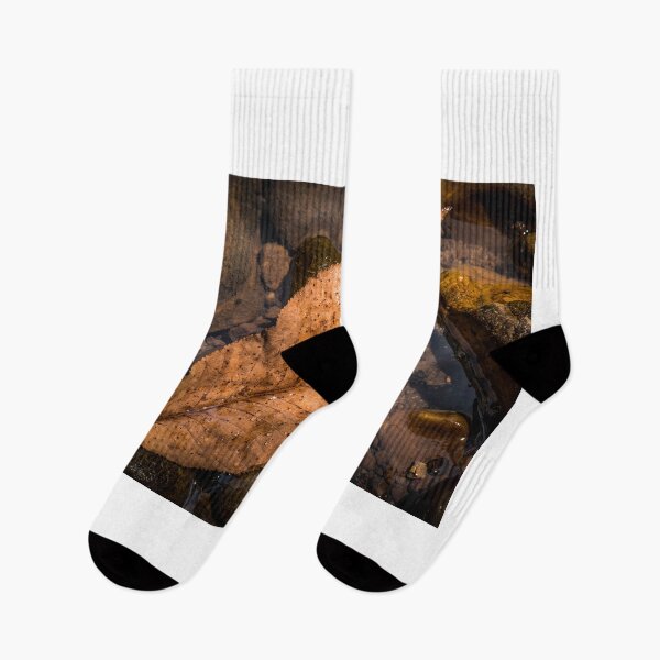 Item preview, In The Drink designed and sold by Jim Love.
